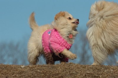 Mar11_07_642.JPG