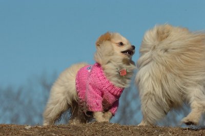 Mar11_07_643.JPG
