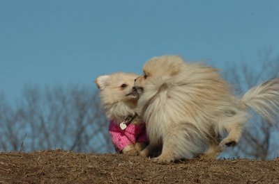 Mar11_07_644.JPG