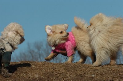 Mar11_07_645.JPG