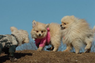 Mar11_07_648.JPG