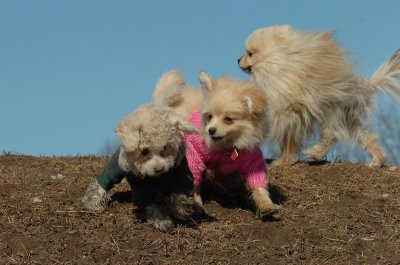 Mar11_07_649.JPG