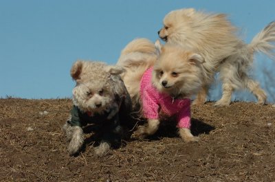Mar11_07_650.JPG