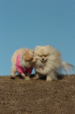 Mar11_07_658.JPG