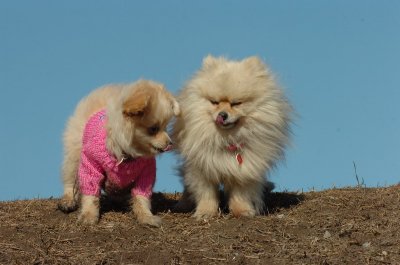 Mar11_07_664.JPG