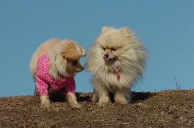 Mar11_07_665.JPG