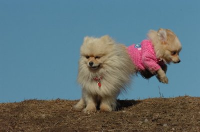 Mar11_07_666.JPG