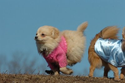 Mar11_07_670.JPG