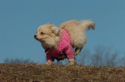 Mar11_07_672.JPG