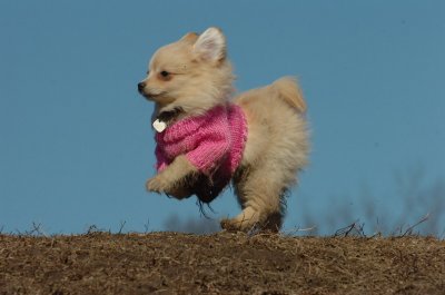 Mar11_07_673.JPG