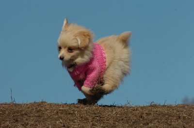 Mar11_07_675.JPG