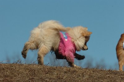 Mar11_07_677.JPG