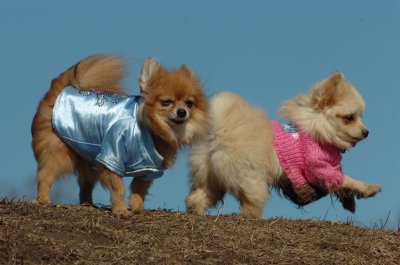 Mar11_07_680.JPG