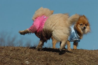 Mar11_07_681.JPG