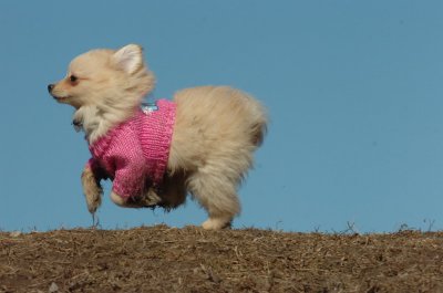 Mar11_07_683.JPG