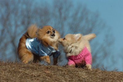 Mar11_07_688.JPG