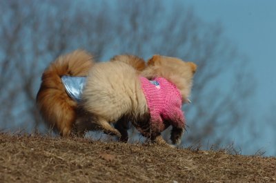 Mar11_07_690.JPG