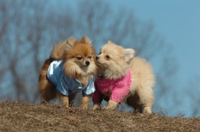 Mar11_07_692.JPG