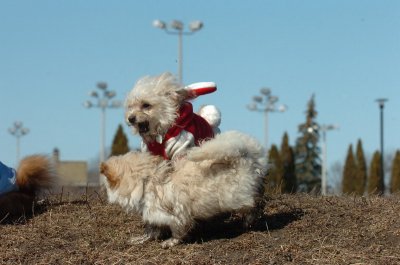 Mar11_07_322.JPG