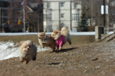 Mar11_07_327.JPG