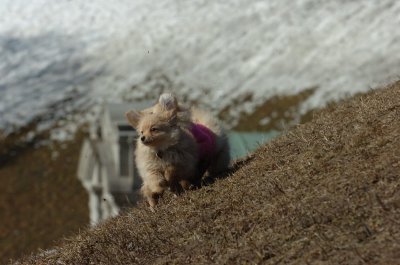 Mar11_07_330.JPG