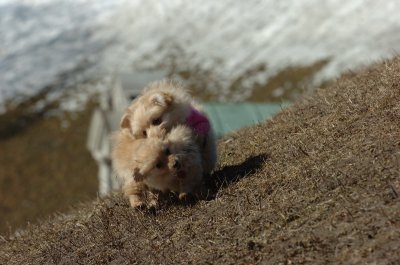 Mar11_07_331.JPG