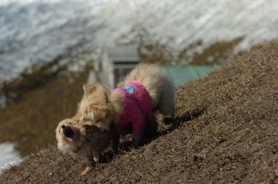 Mar11_07_333.JPG