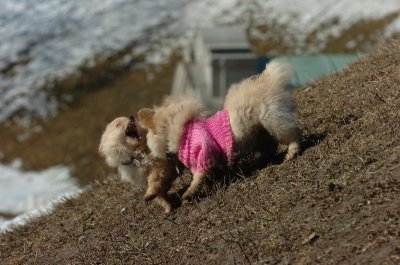 Mar11_07_334.JPG