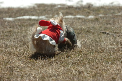Mar11_07_387.JPG