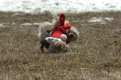 Mar11_07_389.JPG