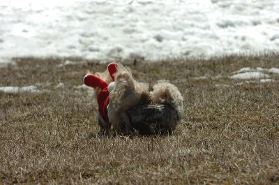 Mar11_07_390.JPG