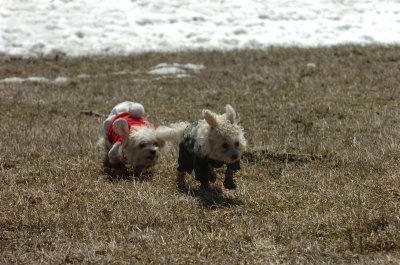 Mar11_07_391.JPG