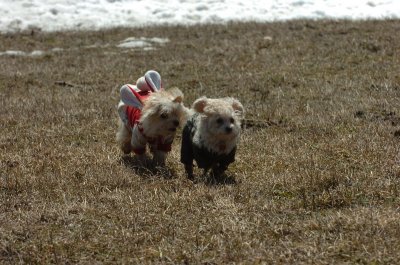 Mar11_07_392.JPG