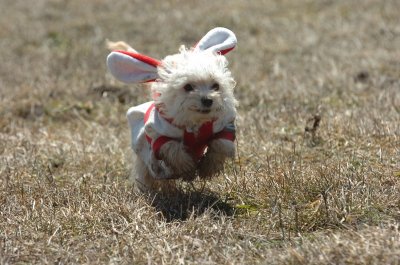 Mar11_07_400.JPG