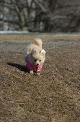 Mar11_07_404.JPG