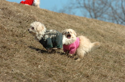 Mar11_07_230.JPG