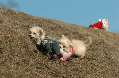 Mar11_07_234.JPG