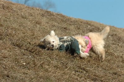 Mar11_07_236.JPG