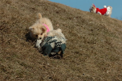 Mar11_07_237.JPG