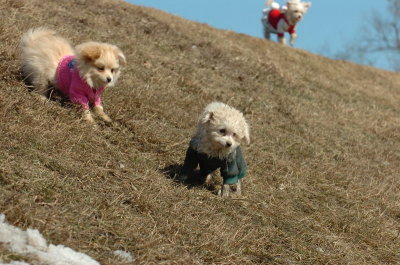 Mar11_07_239.JPG