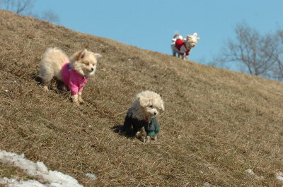 Mar11_07_240.JPG