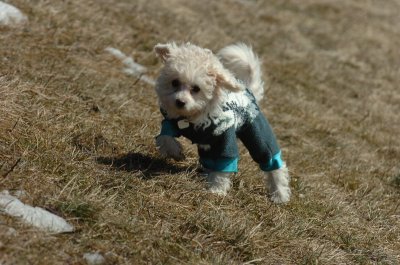 Mar11_07_007.JPG