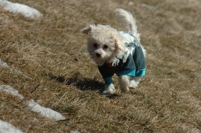 Mar11_07_008.JPG