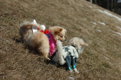 Mar11_07_009.JPG