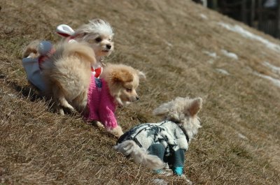 Mar11_07_010.JPG
