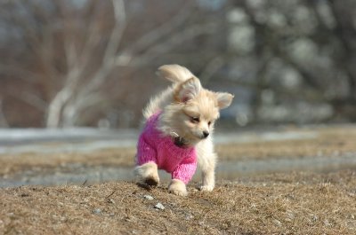 Mar11_07_019.JPG