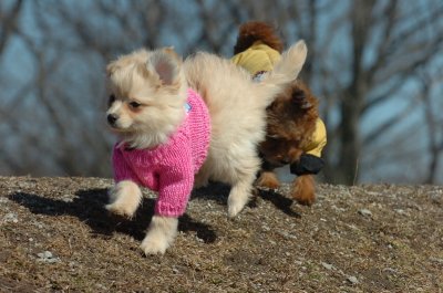 Mar11_07_032.JPG