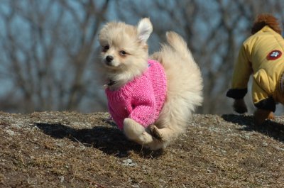 Mar11_07_033.JPG