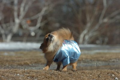 Mar11_07_046.JPG