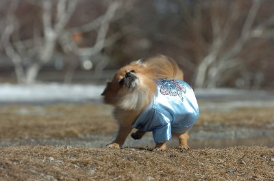 Mar11_07_047.JPG